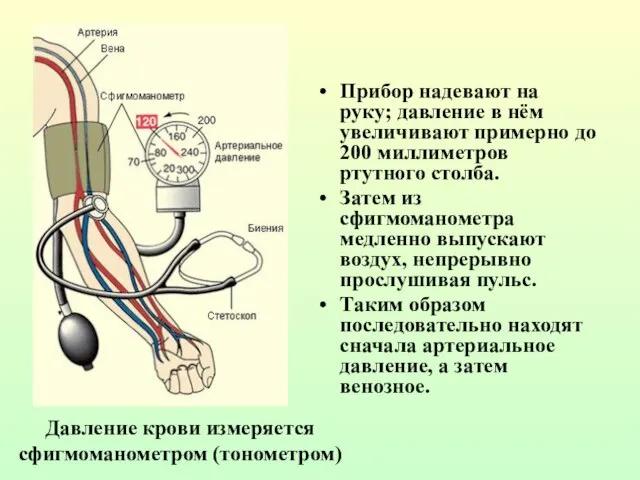 Прибор надевают на руку; давление в нём увеличивают примерно до 200 миллиметров