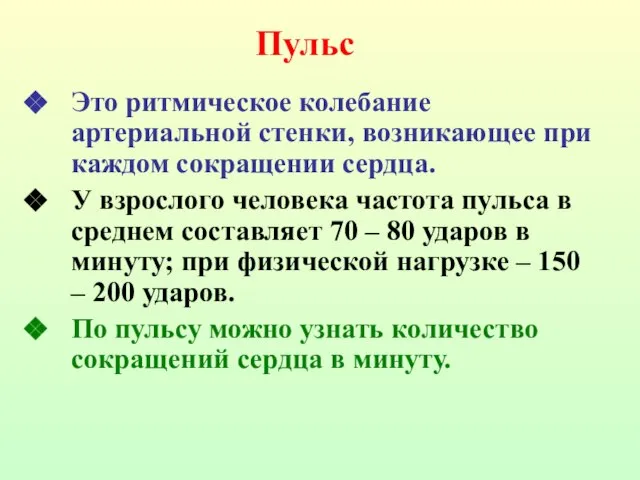 Это ритмическое колебание артериальной стенки, возникающее при каждом сокращении сердца. У взрослого