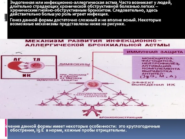 Эндогенная или инфекционно-аллергическая астма. Часто возникает у людей, длительно страдающих хронической обструктивной