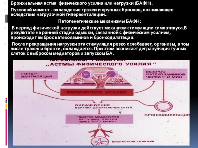 Бронхиальная астма физического усилия или нагрузки (БАФН). Пусковой момент - охлаждение трахеи