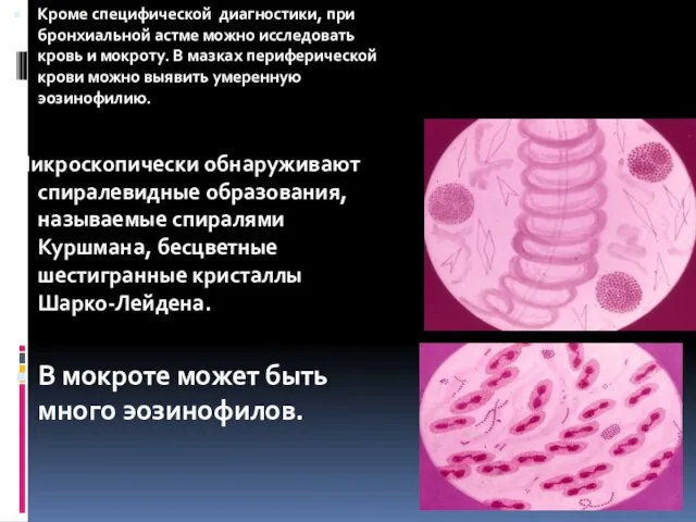 Кроме специфической диагностики, при бронхиальной астме можно исследовать кровь и мокроту. В