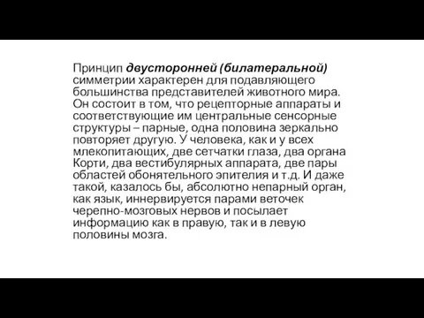 Принцип двусторонней (билатеральной) симметрии характерен для подавляющего большинства представителей животного мира. Он