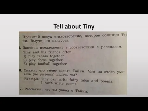 Tell about Tiny