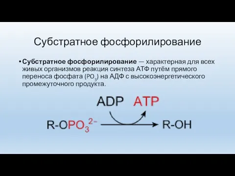 Субстратное фосфорилирование Субстратное фосфорилирование — характерная для всех живых организмов реакция синтеза