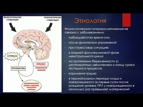 Этиология Физиологическая гиперпролактинемия не связана с заболеваниями: наблюдается во время сна после