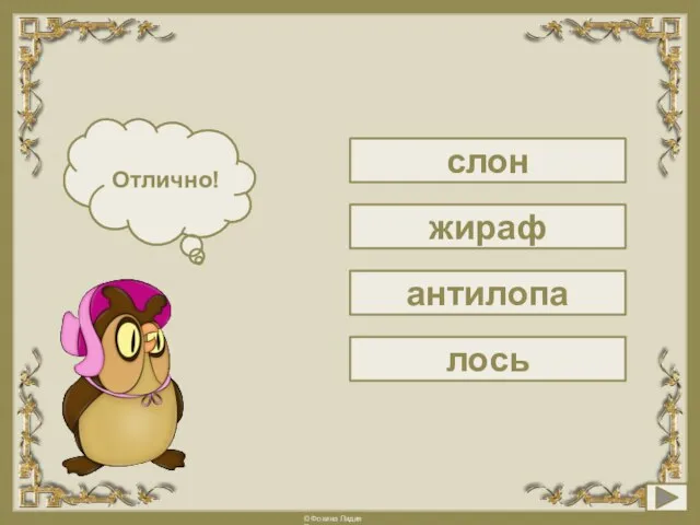 слон Подумай! Отлично! жираф антилопа лось