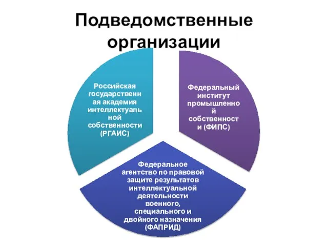 Подведомственные организации