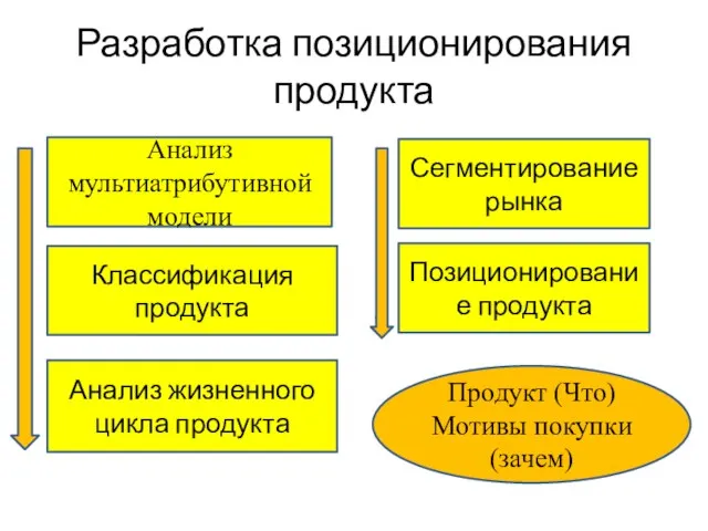 Разработка позиционирования продукта Анализ мультиатрибутивной модели Анализ жизненного цикла продукта Сегментирование рынка