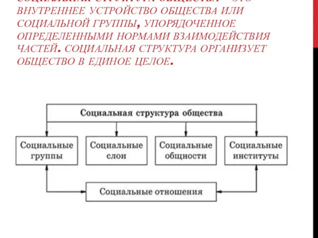 СОЦИАЛЬНАЯ СТРУКТУРА ОБЩЕСТВА – ЭТО ВНУТРЕННЕЕ УСТРОЙСТВО ОБЩЕСТВА ИЛИ СОЦИАЛЬНОЙ ГРУППЫ, УПОРЯДОЧЕННОЕ