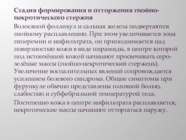 Стадия формирования и отторжения гнойно-некротического стержня Волосяной фолликул и сальная железа подвергаются