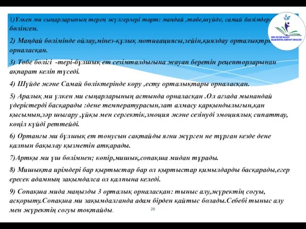 1)Үлкен ми сыңарларының терең жүлгерлері төрт: маңдай ,төбе,шүйде, самай бөлімдерге бөлінген. 2)