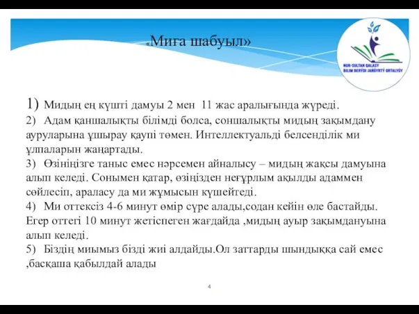 «Миға шабуыл» 1) Мидың ең күшті дамуы 2 мен 11 жас аралығында