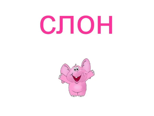 слон