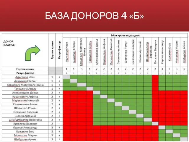 БАЗА ДОНОРОВ 4 «Б»