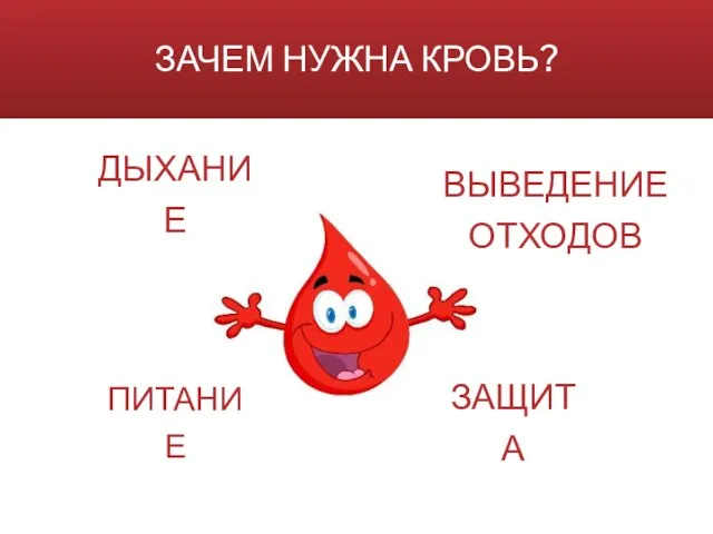 ЗАЧЕМ НУЖНА КРОВЬ? ПИТАНИЕ ДЫХАНИЕ ЗАЩИТА ВЫВЕДЕНИЕ ОТХОДОВ