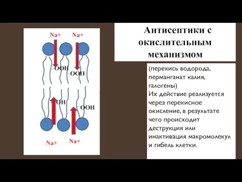 Антисептики с окислительным механизмом (перекись водорода, перманганат калия, галогены) Их действие реализуется