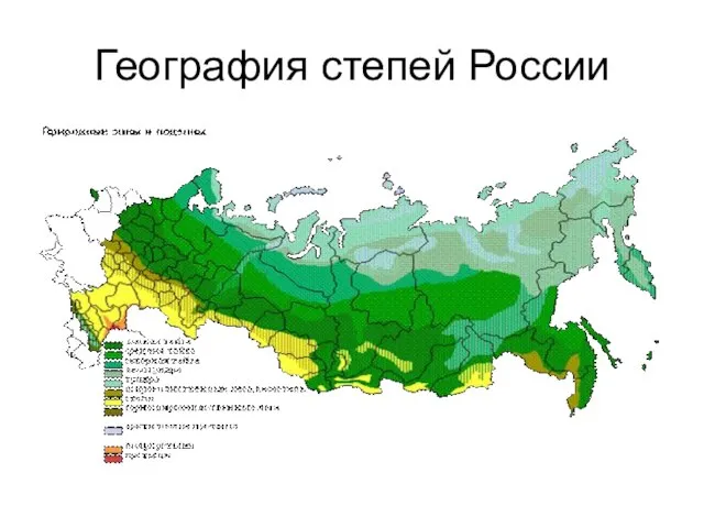 География степей России