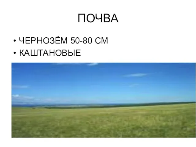 ПОЧВА ЧЕРНОЗЁМ 50-80 СМ КАШТАНОВЫЕ