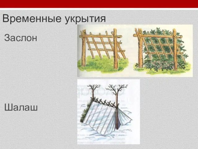 В каких местах нельзя делать временное укрытие. Заслон шалаш. Заслон временное укрытие. Макет временного укрытия ОБЖ 6 класс. Временное укрытие для авто своими руками.