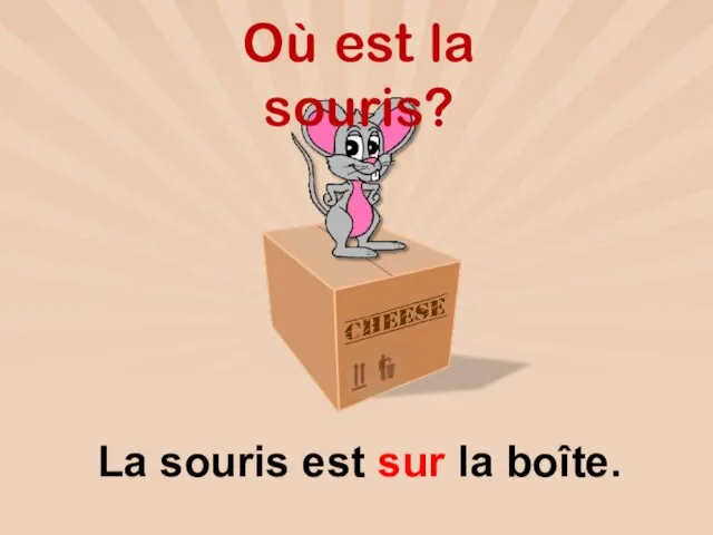 La souris est sur la boîte. Où est la souris?