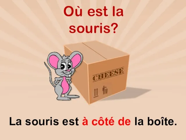 Où est la souris? La souris est à côté de la boîte.