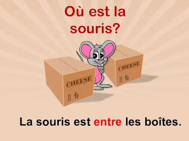 Où est la souris? La souris est entre les boîtes.