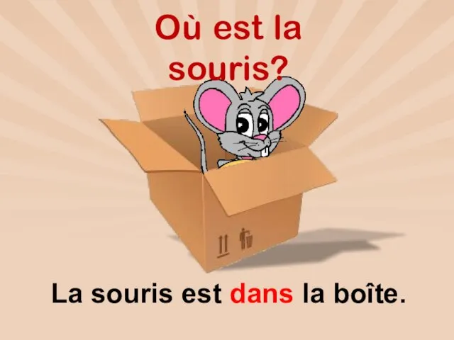 Où est la souris? La souris est dans la boîte.