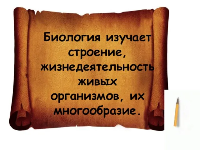 Биология изучает строение, жизнедеятельность живых организмов, их многообразие.