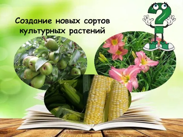 Создание новых сортов культурных растений