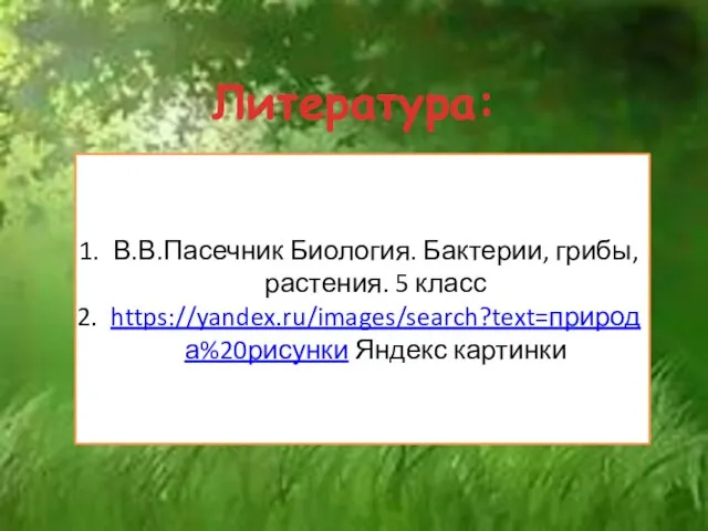 Литература: В.В.Пасечник Биология. Бактерии, грибы, растения. 5 класс https://yandex.ru/images/search?text=природа%20рисунки Яндекс картинки