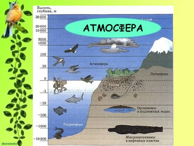 АТМОСФЕРА