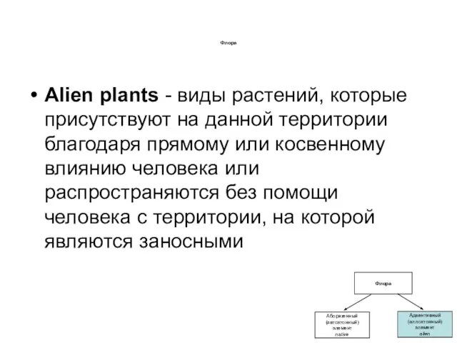 Флора Alien plants - виды растений, которые присутствуют на данной территории благодаря