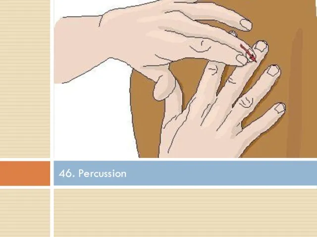 46. Percussion