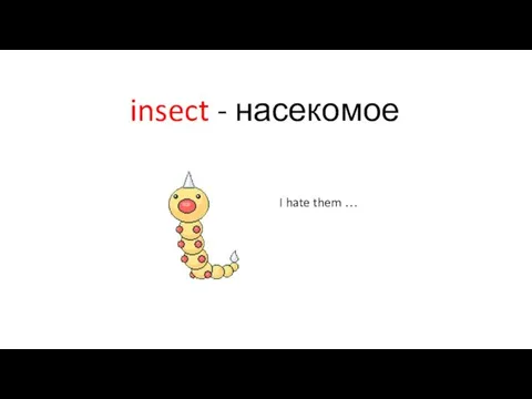 insect - насекомое I hate them …