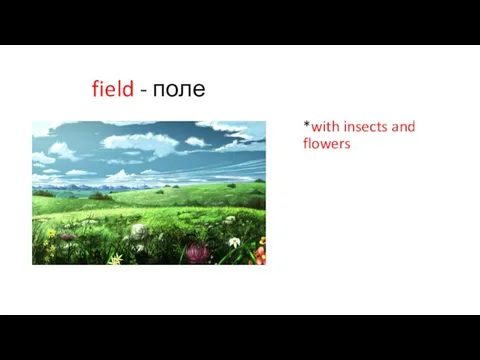 field - поле *with insects and flowers