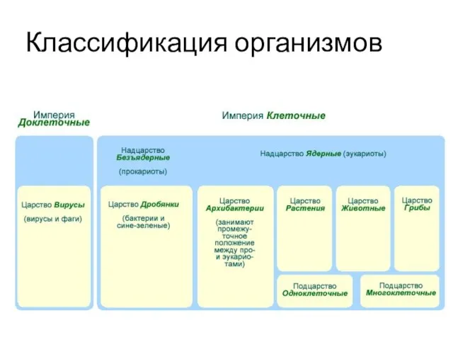 Классификация организмов