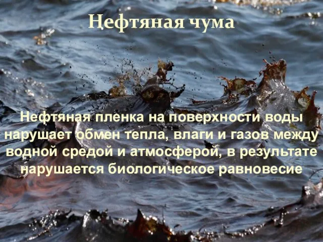 Нефтяная чума Нефтяная пленка на поверхности воды нарушает обмен тепла, влаги и