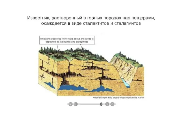 Известняк, растворенный в горных породах над пещерами, осаждается в виде сталактитов и сталагмитов