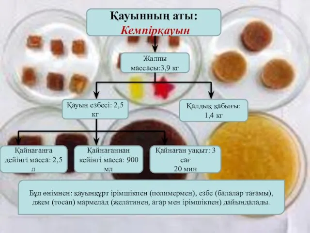 Қауынның аты: Кемпірқауын Жалпы массасы:3,9 кг Қауын езбесі: 2,5 кг Қалдық қабығы: