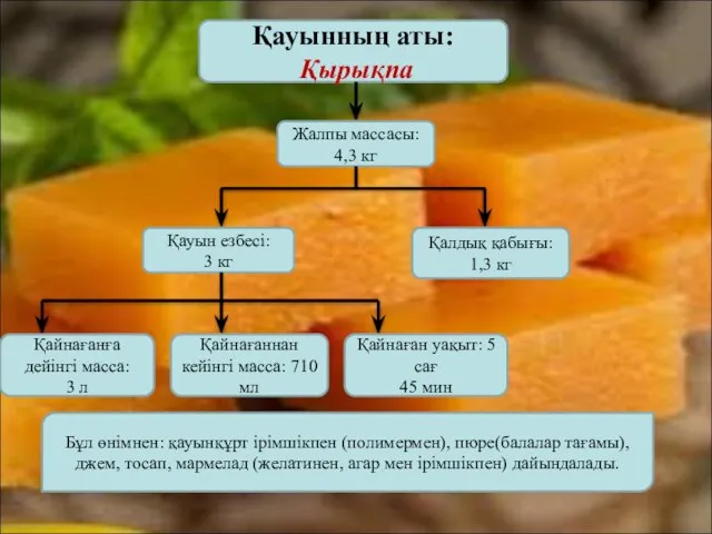 Қауынның аты: Қырықпа Жалпы массасы: 4,3 кг Қауын езбесі: 3 кг Қалдық