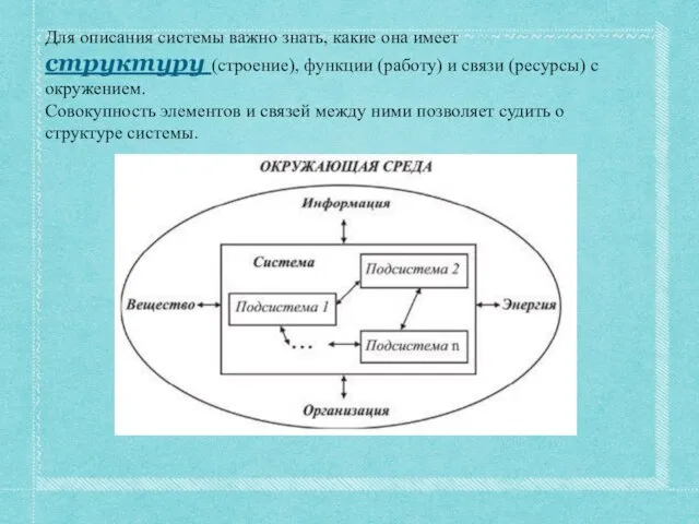 Для описания системы важно знать, какие она имеет структуру (строение), функции (работу)