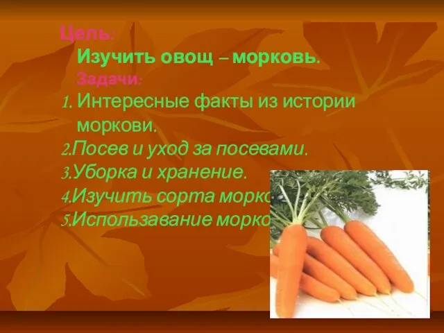 Цель: Изучить овощ – морковь. Задачи: 1. Интересные факты из истории моркови.