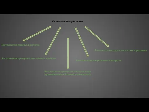 Основные направления Биотехнология пищевых продуктов Биотехнология препаратов для сельского хозяйства Биотехнология препаратов