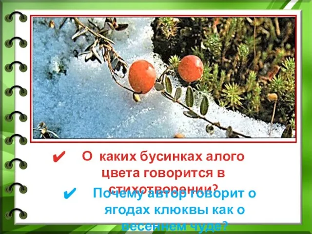 О каких бусинках алого цвета говорится в стихотворении? Почему автор говорит о