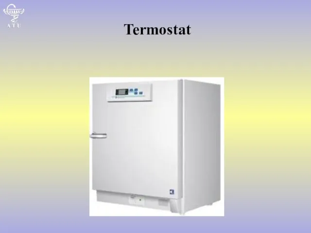 Termostat