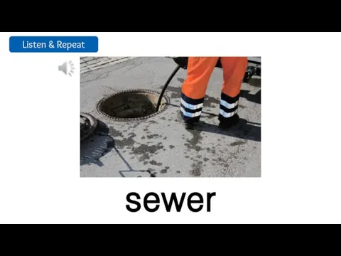 sewer