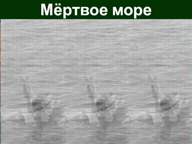 Мёртвое море