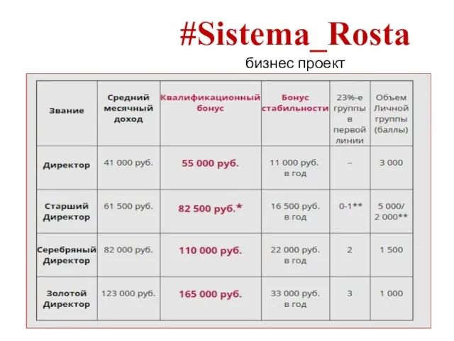 #Sistema_Rosta бизнес проект