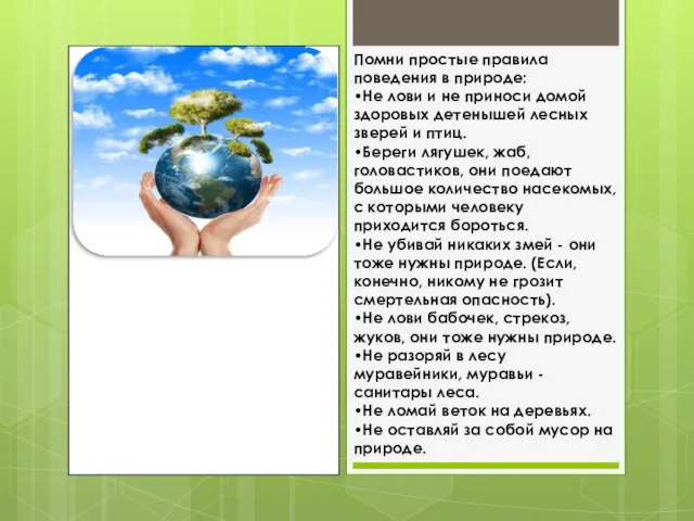 Помни простые правила поведения в природе: •Не лови и не приноси домой