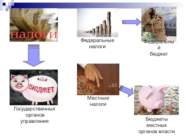 Государственных органов управления Федеральные налоги Федеральный бюджет Местные налоги Бюджеты местных органов власти